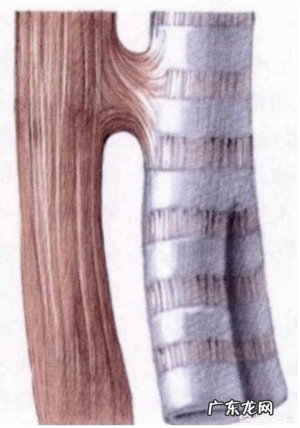 食道癌有哪些症状?会疼吗?