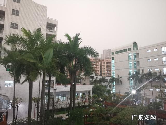 为什么现在中医院的中医很多人都说是是假中医? 现在最好的中医是哪一种