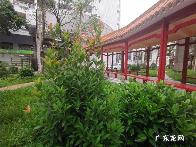 为什么现在中医院的中医很多人都说是是假中医? 现在最好的中医是哪一种