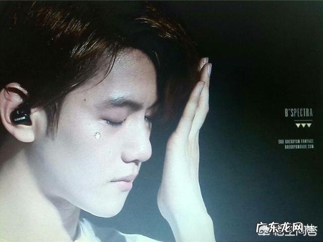 EXO成员的真实性格怎么样?