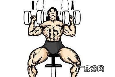 初学者健身哑铃怎么健康计划?