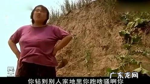 “人在做,天在看”现实中有这样的故事发生吗?