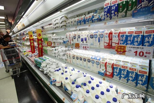 纯牛奶和乳酸菌饮品哪个营养价值高? 酸牛奶和乳酸菌哪个好