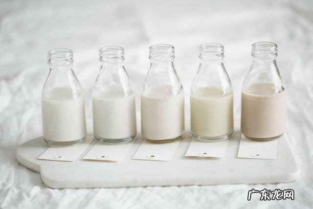 纯牛奶和乳酸菌饮品哪个营养价值高? 酸牛奶和乳酸菌哪个好