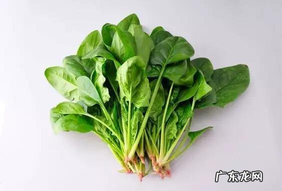 处于月经期间的那几天,可以多吃什么蔬菜?