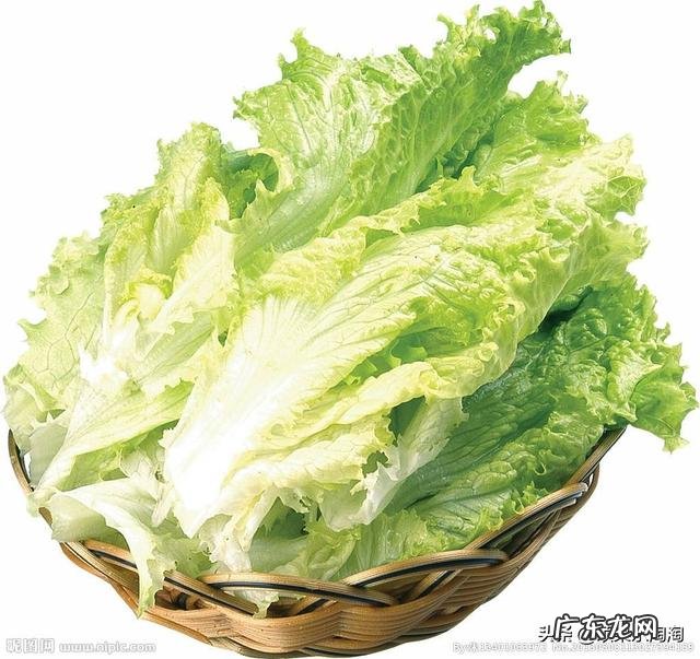 减肥晚上到底该不该吃东西?