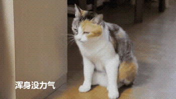 洗脚水里扔进这个,排毒养颜,瘦身减脂,还能睡得香