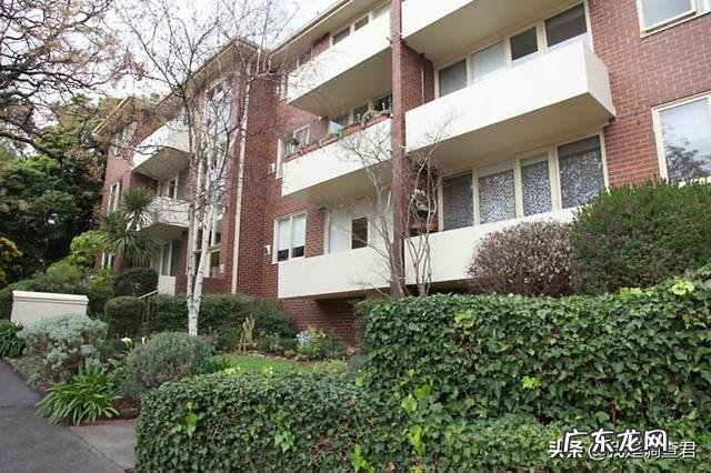 真实的澳大利亚生活到底是怎样的?