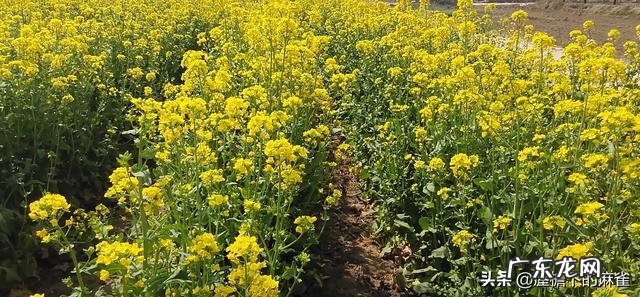 头条的朋友们晚上都几点睡觉?睡觉前都干嘛,欢迎大家留言讨论?