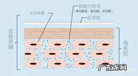 现在的医学是进步了还是倒退了?为什么很多病都zhi不了?