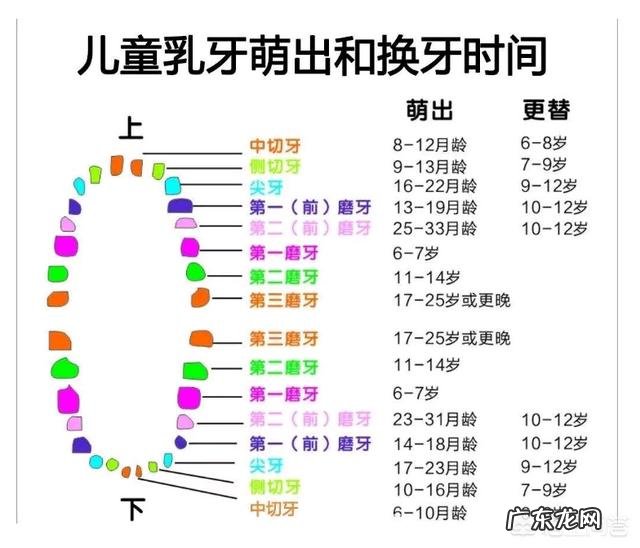 婴儿出牙晚好还是不好?正常情况什么时候出牙?