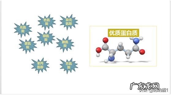 运动后喝蛋白粉有什么好处?