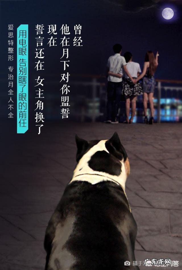 为什么有的人就是喜欢一个人生活