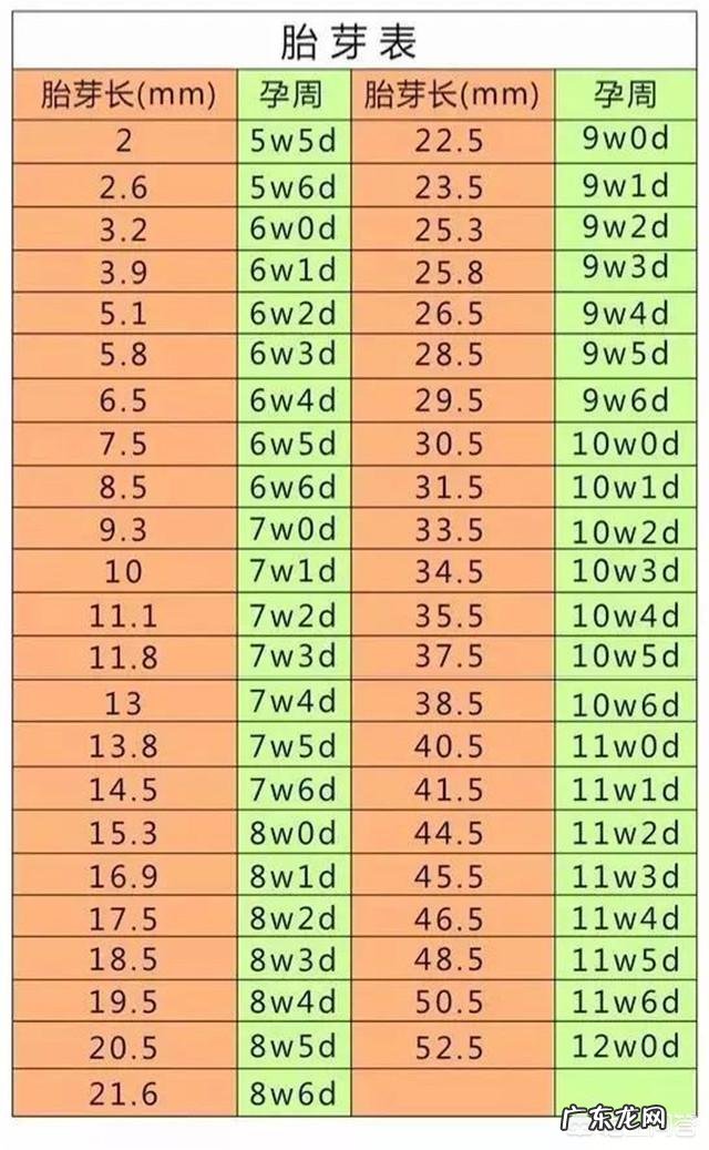 孕晚期医生给估算的预产期准吗？