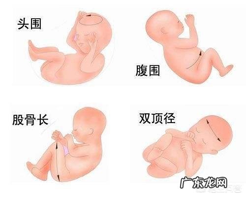 孕晚期医生给估算的预产期准吗？