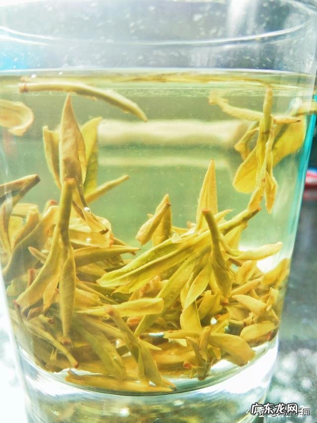 烘焙用的抹茶粉有哪些推荐?