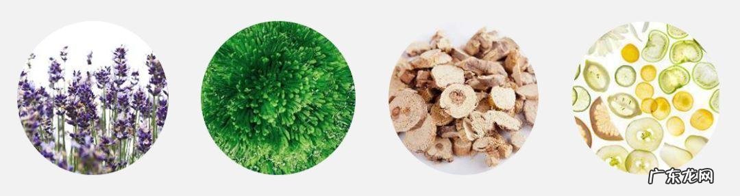 吴昕靠泡脚瘦腿,景甜做艾灸祛寒,你这样养生反而是糟蹋自己 吴昕同款瘦腿器能瘦大腿吗