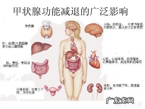 甲低的女性患者,要备孕需要注意什么或者吃些什么?