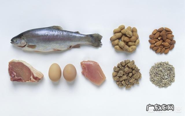 为什么有人吃蛋白粉?蛋白粉对人能起到哪些作用?