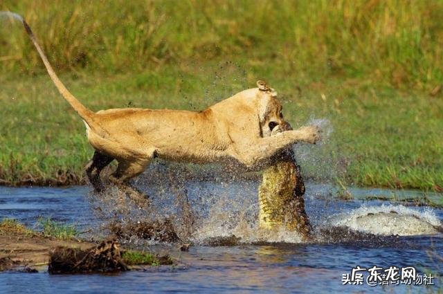 霉霉和水果姐，谁在欧美乐坛的地位更高？
