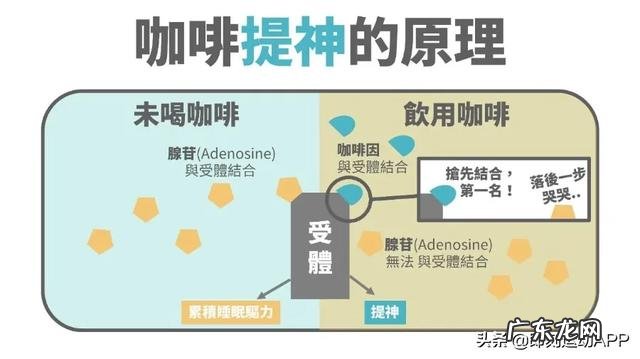 减脂期最不该错过的咖啡,喝错了只会越来越胖