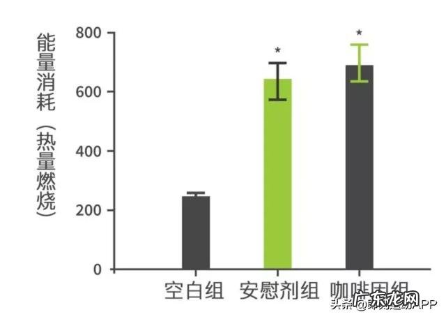 减脂期最不该错过的咖啡,喝错了只会越来越胖