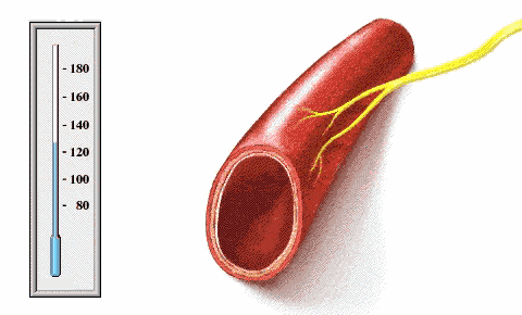 如何预防脑梗脑梗怎么zhi疗