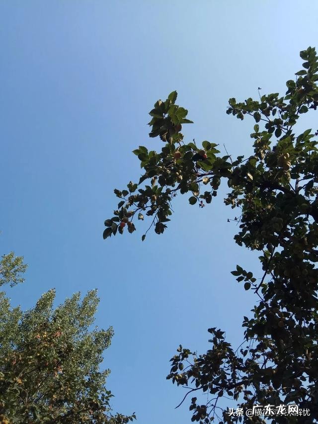 怎么样才能做一个精致的女人呢