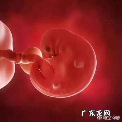 为什么男人都喜欢瘦瘦的女生,为什么不喜欢胖胖的人呢?