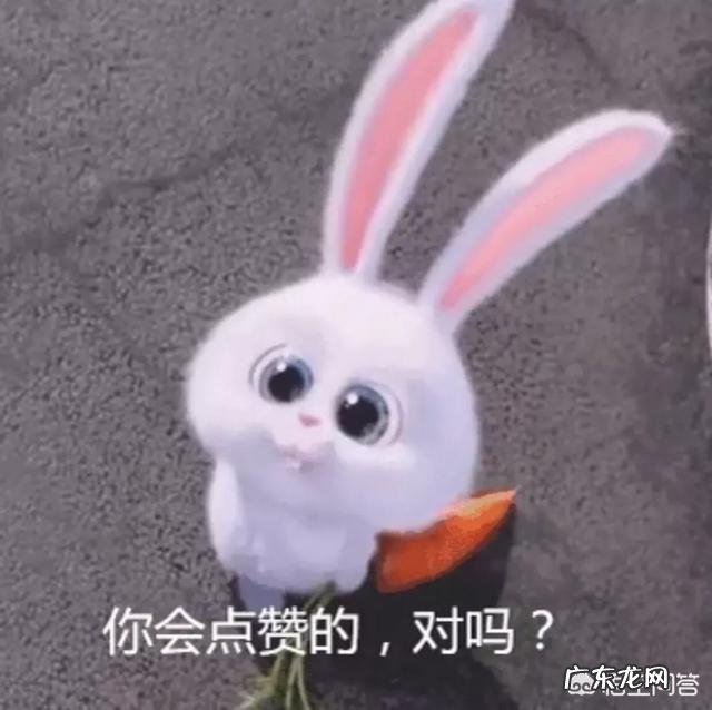 为了“甩肉”减肥,你下过哪些决心?