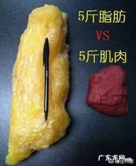 脂肪对于女性有什么好处?