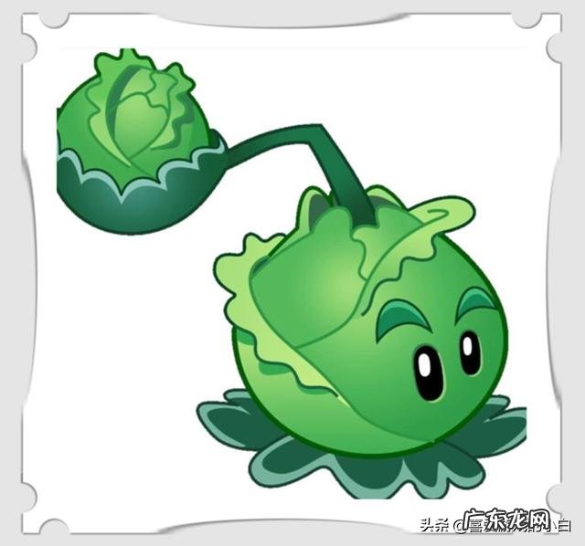 减脂时吃一些蘑菇这样的菌类能够帮助减脂吗?