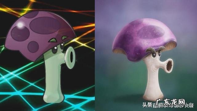 减脂时吃一些蘑菇这样的菌类能够帮助减脂吗?