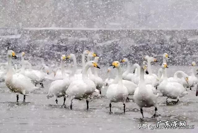 山东境内适合一两个人去散心且幽静的地方有哪些推荐?