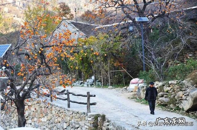 山东境内适合一两个人去散心且幽静的地方有哪些推荐?