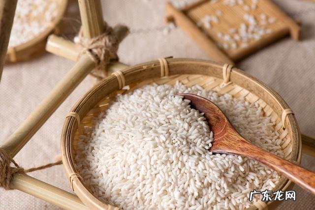 气虚体质吃什么补气,哪些食物最补气? 气虚吃什么菜补气最快