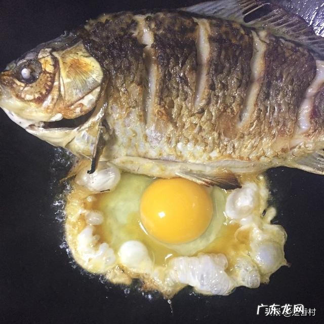 鲫鱼豆腐汤怎么做才好吃? 如何做鲫鱼豆腐汤好吃