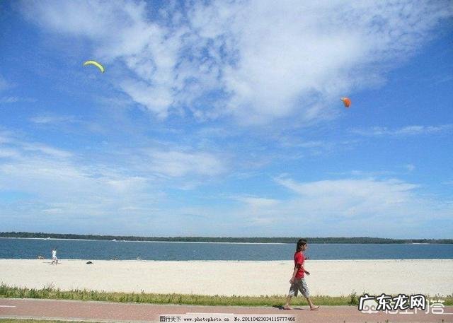 如果一个人习惯了单身会怎么样