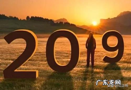 如果一个人习惯了单身会怎么样