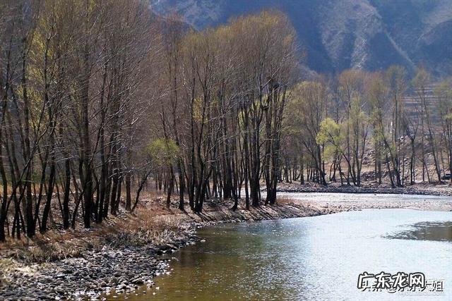 疫情期间,居家如何调整心理