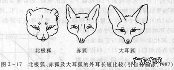 为什么我国北方人身高普遍高于南方人？