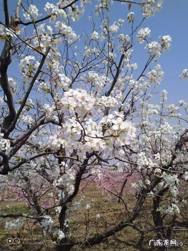 老伴走了,太孤单了,怎么办? 老伴走了怎么找