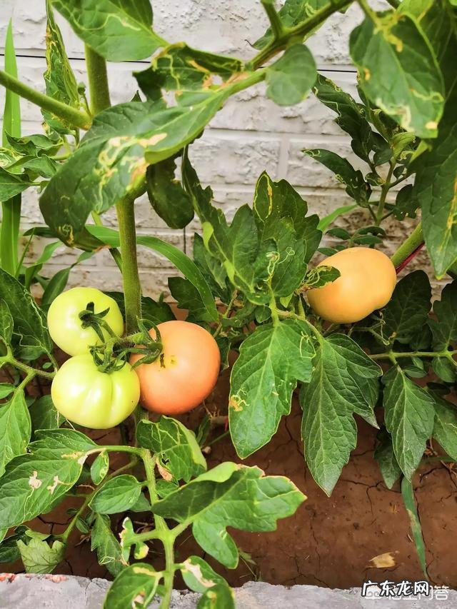 大家是否在生活中近距离的接触过明星,你有什么感受和看法