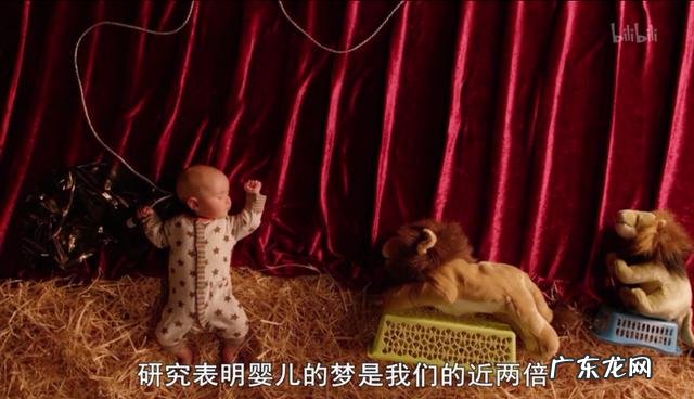 关于婴儿的秘密生活纪录片资料