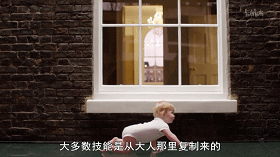 关于婴儿的秘密生活纪录片资料