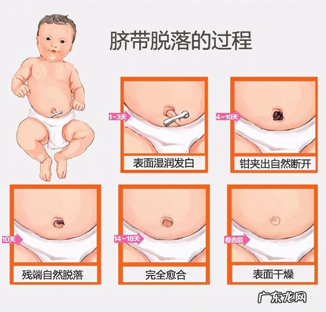 新生儿正确护理合集