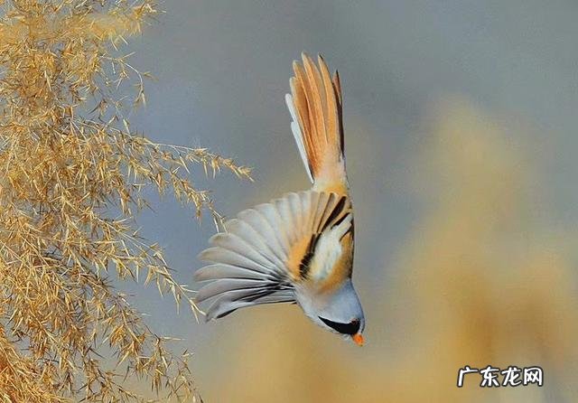 人生苦短，但为什么还是放不下？