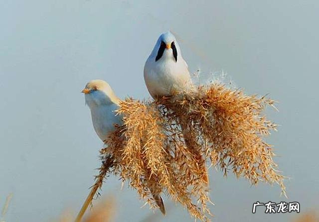 人生苦短，但为什么还是放不下？