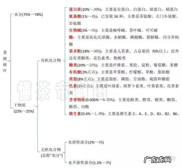 护肤品里各种美白精华的原理是什么?