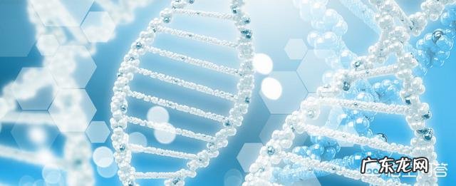 低碳水饮食会让人变笨吗?